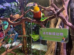 -正佳雨林生态植物园