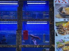 -鑫鸿达·海鲜闽菜热炒小馆(中山路店)