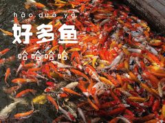 -番禺宾馆丽苑厅