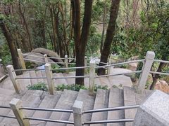 -火炉山森林公园