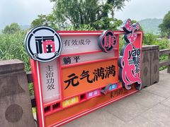 -鸣鹤古镇
