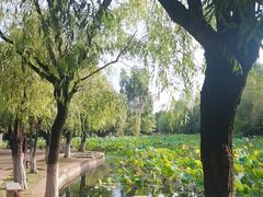 -月牙潭公园