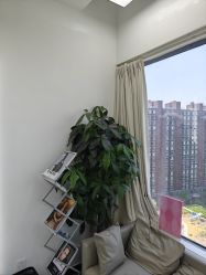 -MT美发沙龙工作室