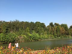-瑶湖郊野森林公园