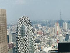 -东京都厅舍