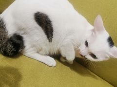 -广州融创文旅城
