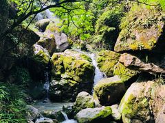 -武隆天坑地缝国家地质公园