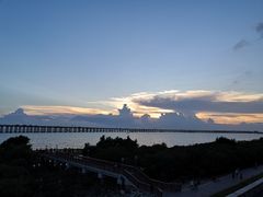 -宝安西湾红树林湿地公园