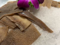 -秦宝雪花牛肉养生火锅(大兴九臻店)