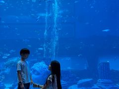 -南昌融创海世界