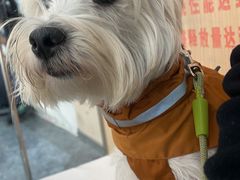 -CLIFFS颗粒攀岩(萧山众安店)