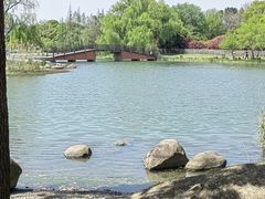 -东方绿舟景区