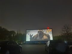 -枫花园汽车电影院(朝阳公园店)