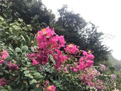 -杭州半山国家森林公园