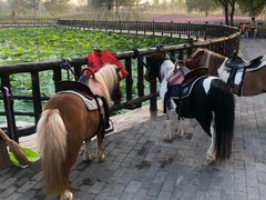 -渔岛海洋度假区