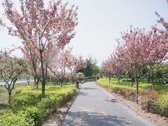 -洨河生态公园