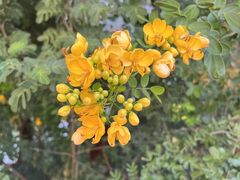 门面-西溪国家湿地公园