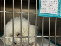 -谐和贝康宠物医院24小时·宠保定点(急重症转诊中心)