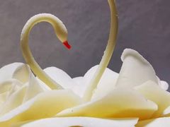 -BLACKSWAN黑天鹅(环球店)