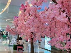 -深圳龙华星河COCO City(民治店)