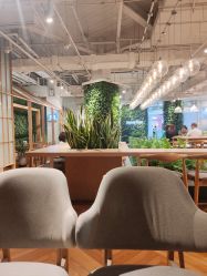 -悦诗风吟innisfree