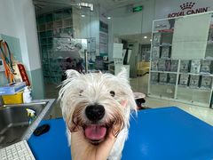 -瑞派申生动物医院·24H夜诊·国际动物医疗中心·骨外科(吴中路店)