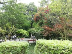 -龙头寺公园