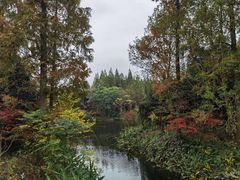 -东平国家森林公园