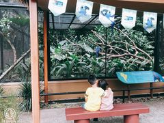-新加坡飞禽公园
