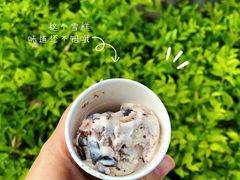 草莓巧克力炫炫脆冰淇淋-哈根达斯(天河城店)