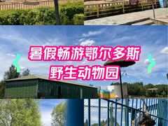 -鄂尔多斯野生动物园