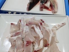 脆鲩鱼腩-中山脆肉鲩(新圳东路店)