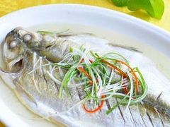 -协和菜馆(凤凰街店)