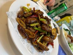 -小海丁