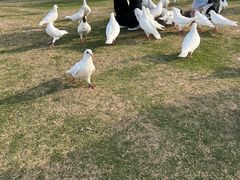 -在海一方公园