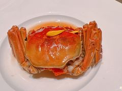 -北京泰富酒店-柏景轩中餐厅