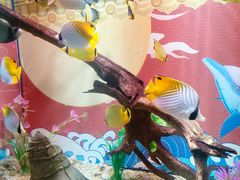 -烟台海昌鲸鲨海洋公园