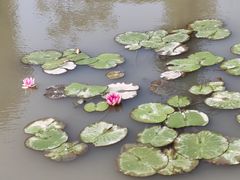 -嘉北郊野公园