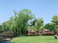 -上海野生动物园
