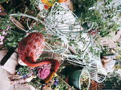 -Jo's Garden
