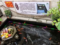 -燕喜堂·中华老字号(大明湖店)