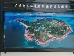-广东惠东海龟国家级自然保护区