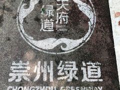 -桤木河湿地公园