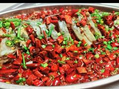 -秦扬居特色菜馆(上王村)