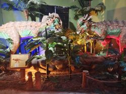 -恐龙探索乐园(磁器口店)