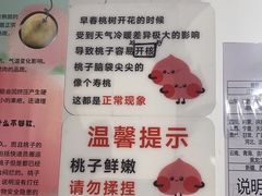 -老袁家蜜桃农场·阳山水蜜桃