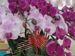 -佛山中大口腔医院·市二级口腔专科医院