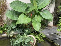 -漫笙舍Manse·咖啡·民宿