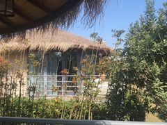 -梁子湖东篱老屋生态庄园