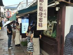-猫的魔法密林(衣裳街店)